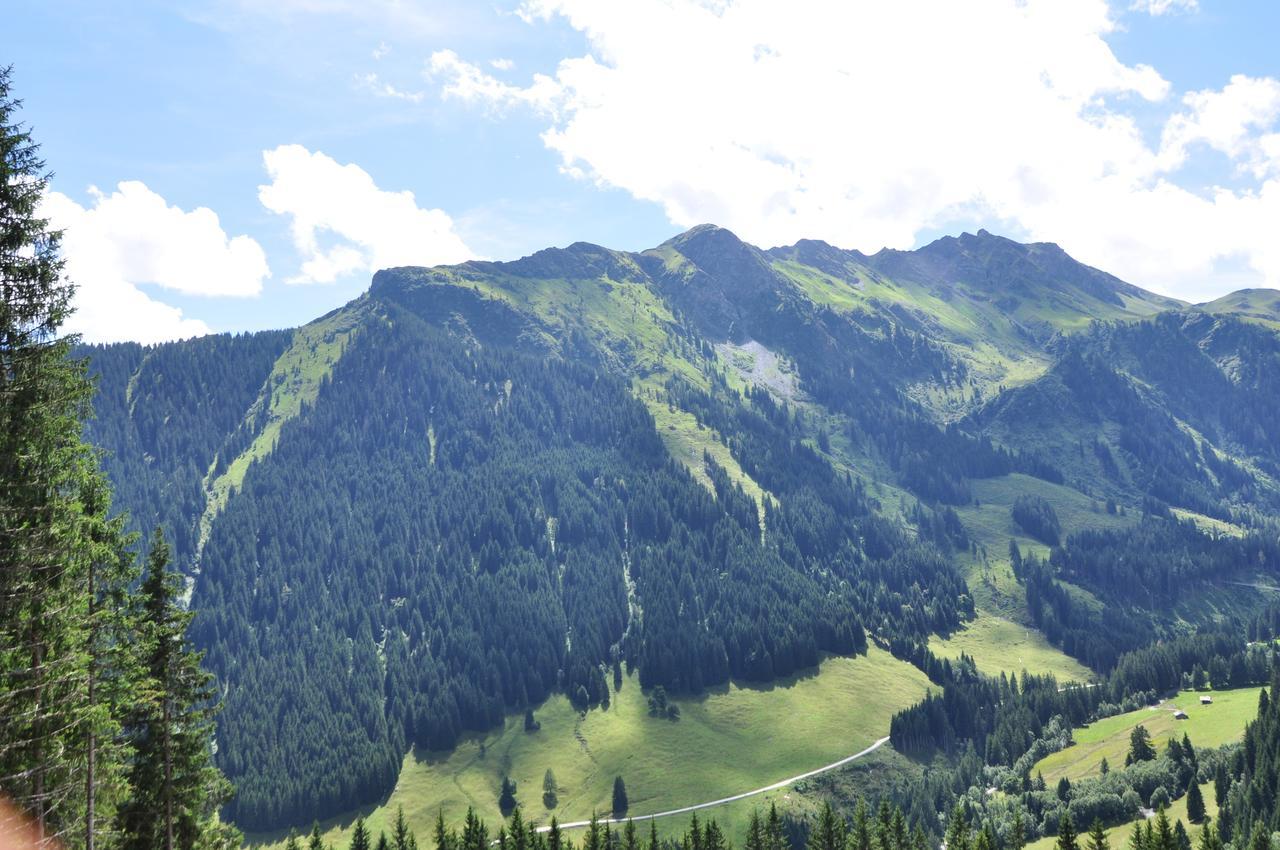 Almhuette Lengau Villa Saalbach-Hinterglemm Ngoại thất bức ảnh
